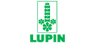lupin